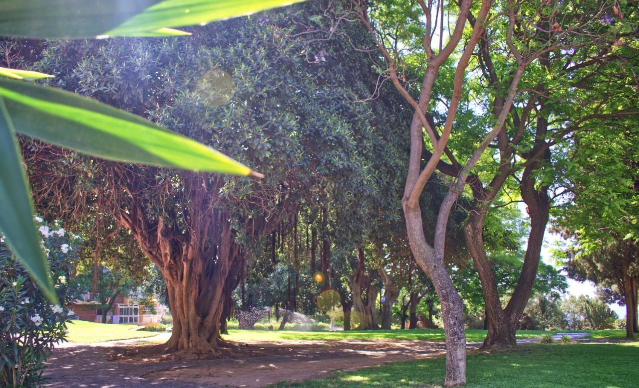 Parque De La Paloma Area - Benalmadena Costa Leilighet Eksteriør bilde